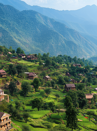 Stone Gate Kasauli by Chester Hills